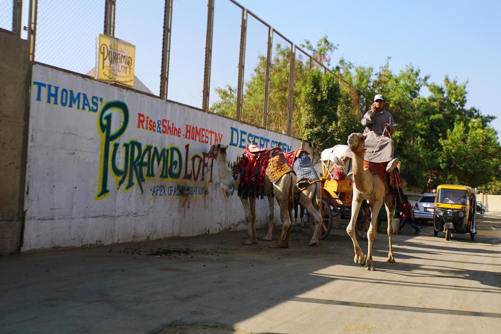 Pyramids Loft Homestay Kafret el-Gabal Eksteriør bilde